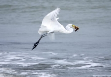 Imagen Parque Nacional Natural Uramba